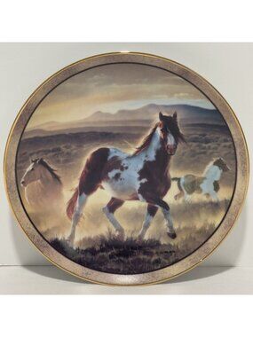 Vtg Desert King Collectors Plate Nancy Glazier Limited Edition Wild and Free 8"